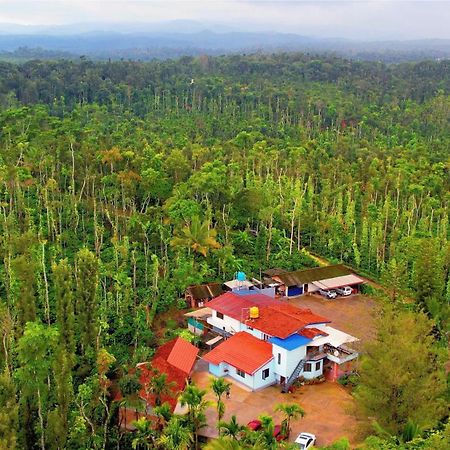 New Organic Home Stay Mudigere Kültér fotó