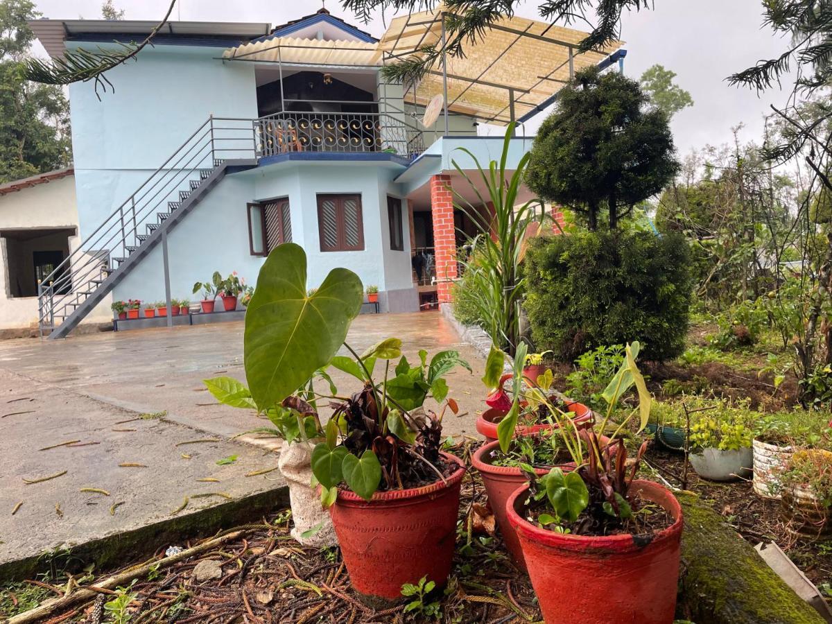 New Organic Home Stay Mudigere Kültér fotó