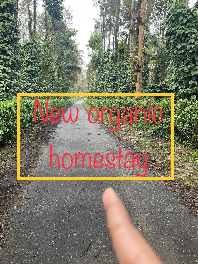New Organic Home Stay Mudigere Kültér fotó