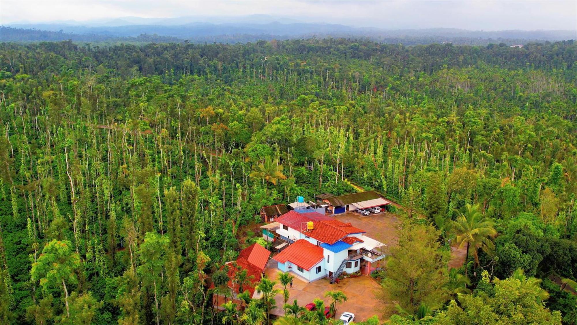 New Organic Home Stay Mudigere Kültér fotó